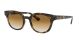 Ray Ban 0RB4324 710/51 50 HAVANA CLEAR GRADIENT BROWN Injected Unisex size 50 sunglasses